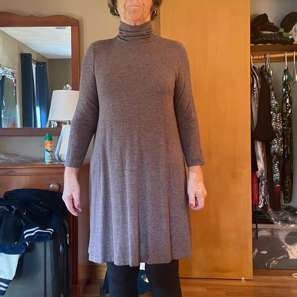 Turtleneck Sweater Dress 🐢